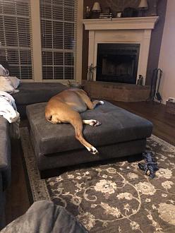 Click image for larger version

Name:	52DF2911-BA47-4A66-AA71-D97C6DC2FD8F.jpeg
Views:	347
Size:	85.0 KB
ID:	15877