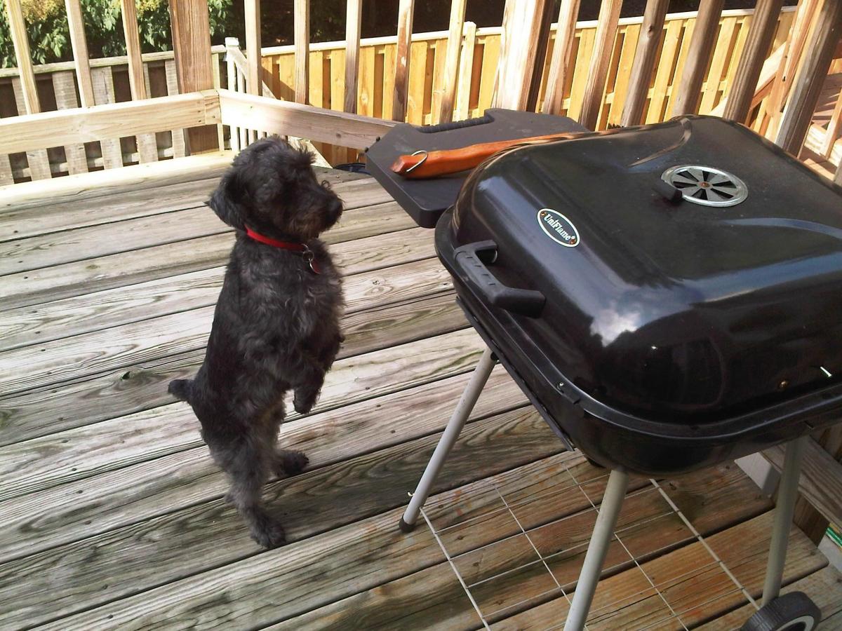 Click image for larger version

Name:	Jazz cooking.jpg
Views:	196
Size:	190.7 KB
ID:	15879