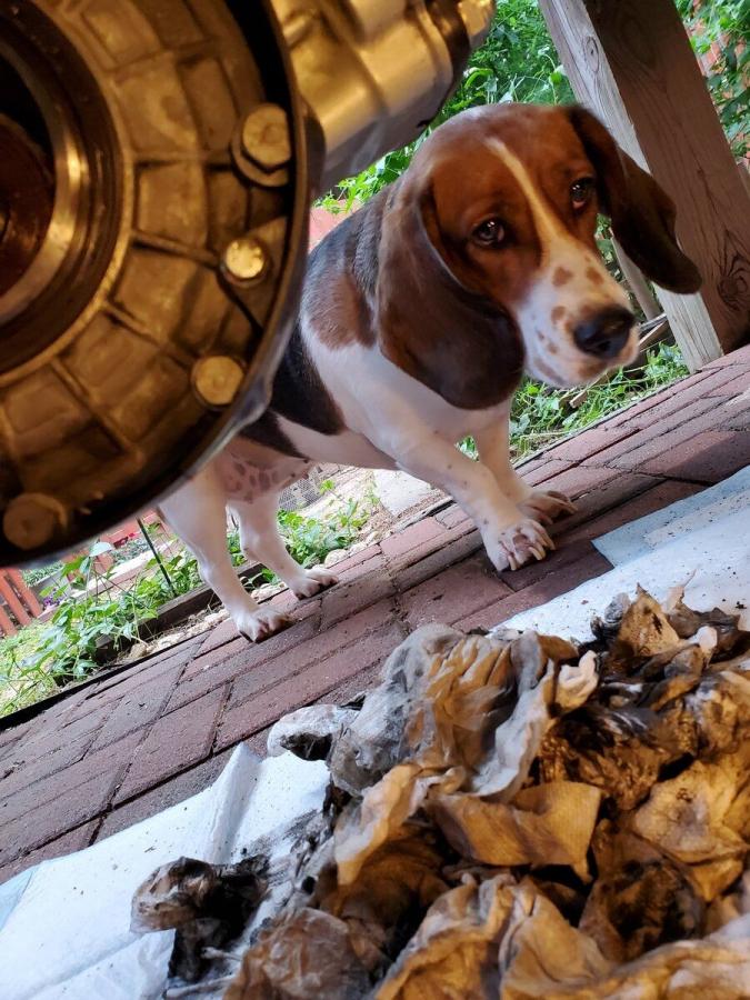 Click image for larger version

Name:	20210724p.jpg
Views:	150
Size:	115.2 KB
ID:	15912