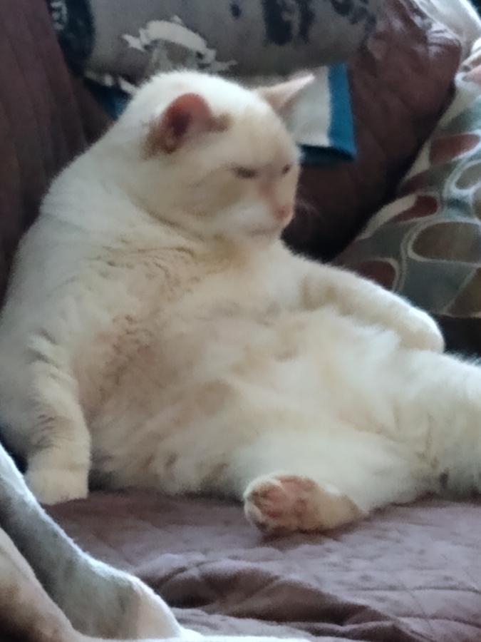 Click image for larger version

Name:	IMG_20210725_154550169.jpg
Views:	227
Size:	49.6 KB
ID:	15937