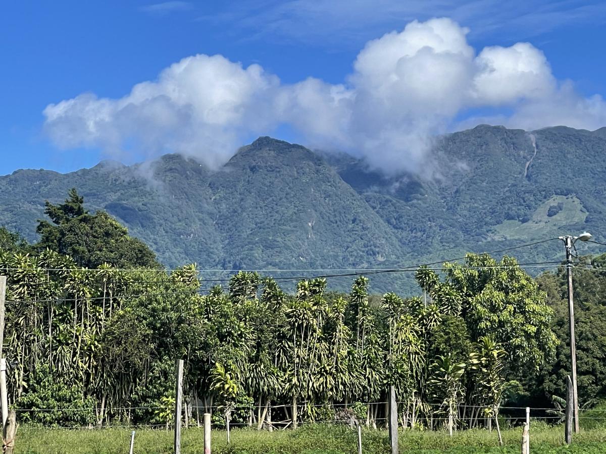 Click image for larger version  Name:	63B38BB5-5121-4479-A607-CDDB8DD41736.jpeg Views:	0 Size:	250.0 KB ID:	16129