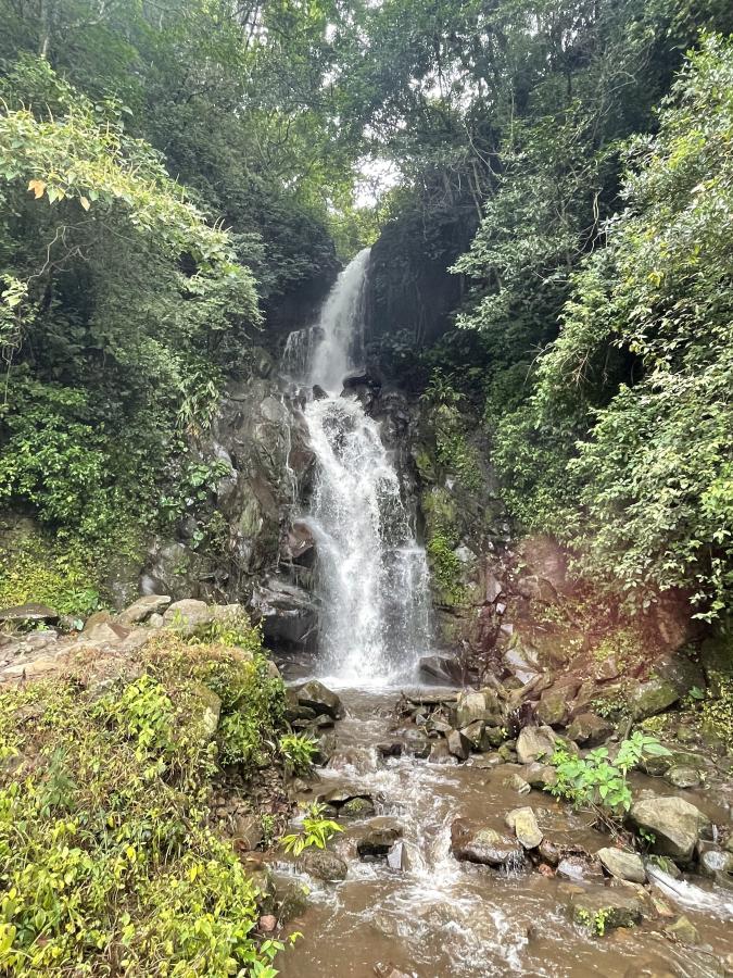 Click image for larger version  Name:	46038583-57EB-48B6-A801-C7E49DDF5817.jpeg Views:	0 Size:	208.3 KB ID:	16130