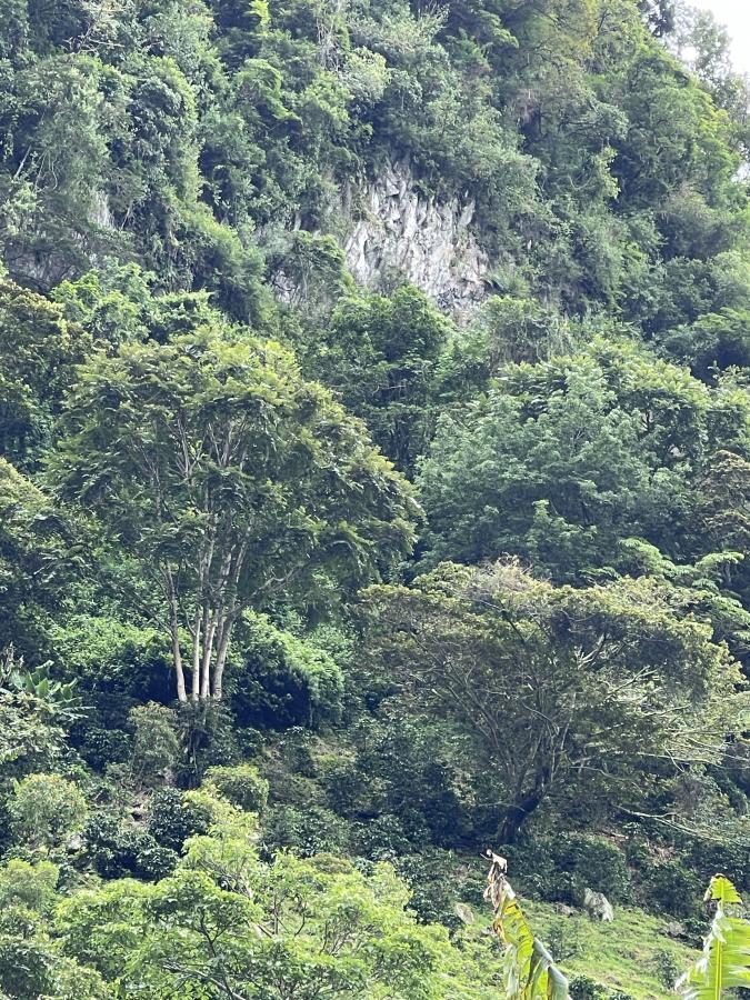 Click image for larger version  Name:	ABED3C4C-C622-4D3A-97CF-4CB60A99DD77.jpeg Views:	0 Size:	221.0 KB ID:	16131