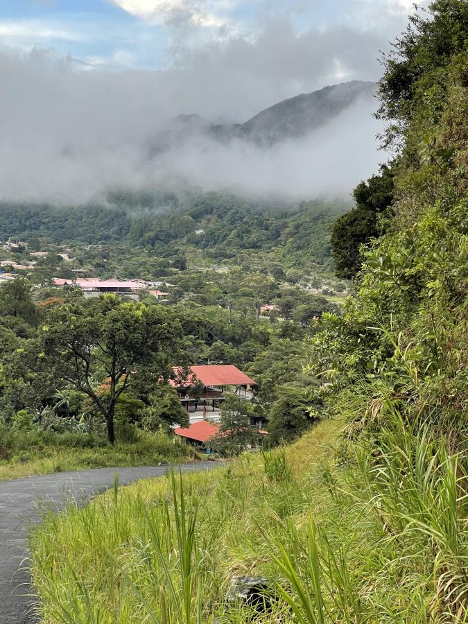 Click image for larger version

Name:	image_3109.jpg
Views:	119
Size:	157.1 KB
ID:	16132