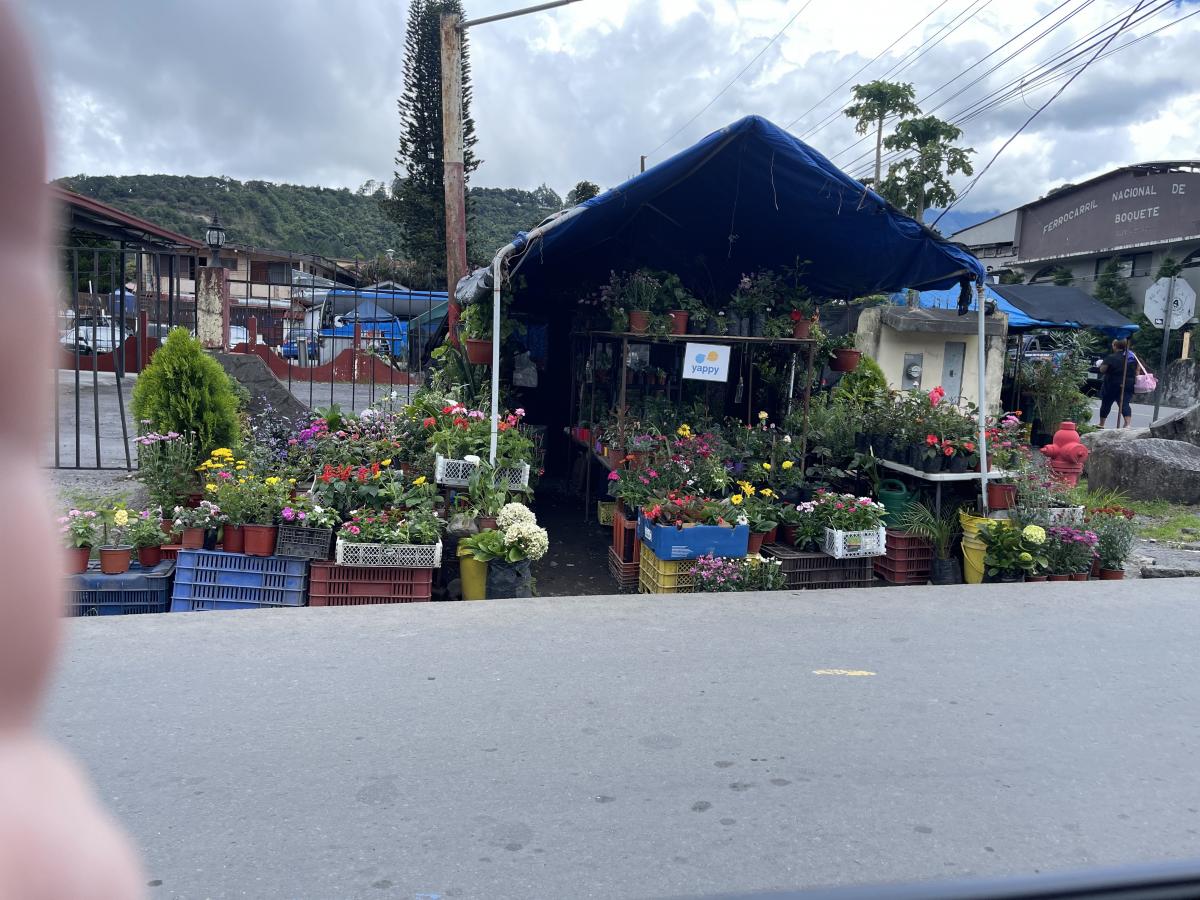 Click image for larger version

Name:	F3955B3E-BD17-484C-9B53-CF48A17E9261.jpeg
Views:	112
Size:	183.9 KB
ID:	16136