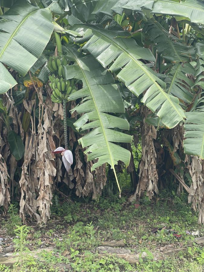 Click image for larger version

Name:	43F3D0DD-C5B7-44E5-A240-79A5B602C2EF.jpeg
Views:	114
Size:	161.9 KB
ID:	16137