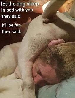 Click image for larger version

Name:	42808A1F-C3F3-4F55-87E6-9241259873E3.jpeg
Views:	339
Size:	43.6 KB
ID:	16268