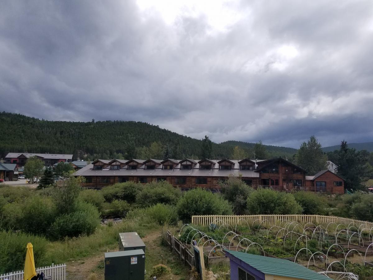 Click image for larger version

Name:	20210819_135315.jpg
Views:	139
Size:	129.9 KB
ID:	16496