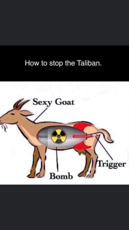 Click image for larger version

Name:	FB_IMG_1629668091243.jpg
Views:	145
Size:	28.5 KB
ID:	16581