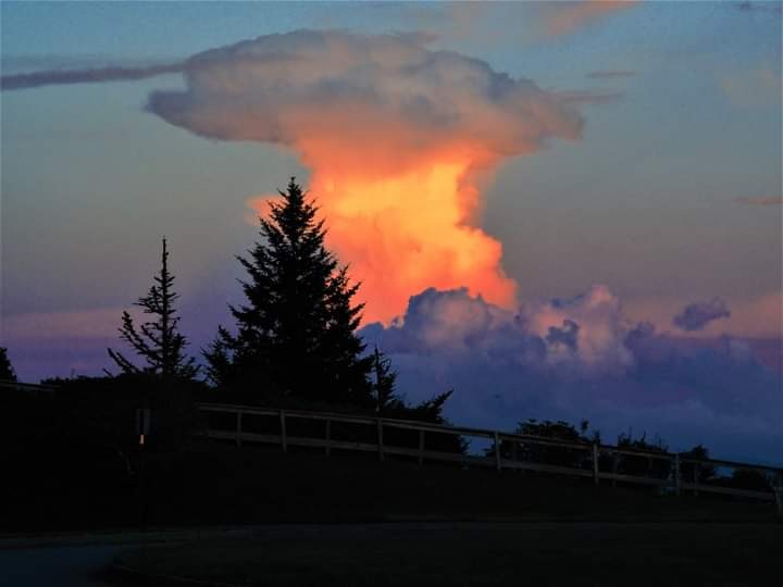 Click image for larger version

Name:	FB_IMG_1630020950308.jpg
Views:	66
Size:	31.2 KB
ID:	16717