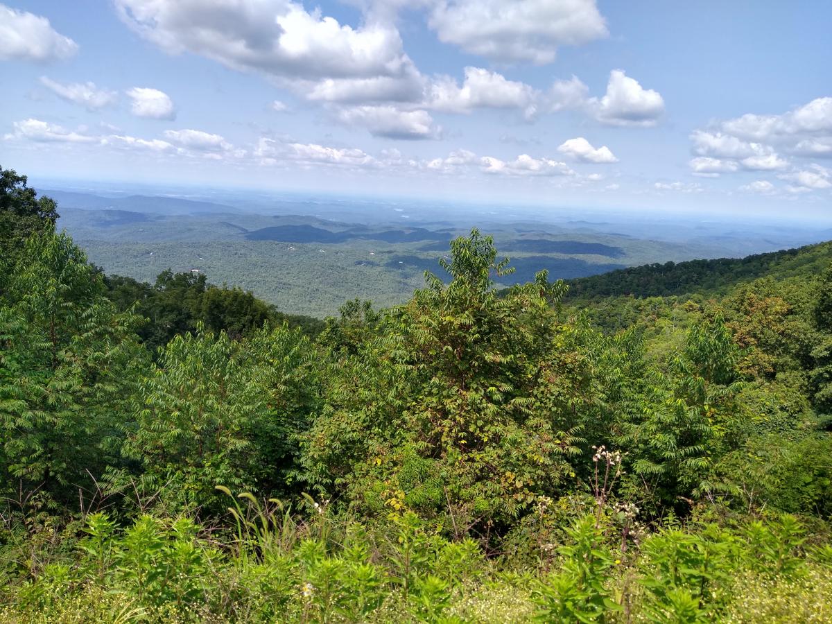 Click image for larger version

Name:	IMG_20210911_140127940_HDR.jpg
Views:	52
Size:	253.3 KB
ID:	17191