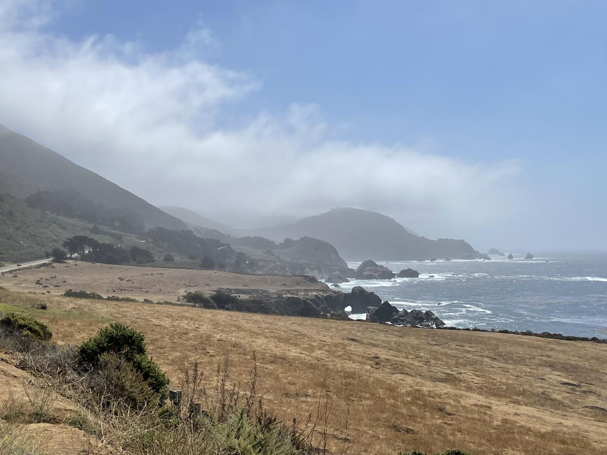 Click image for larger version  Name:	IMG_9592.JPG Views:	0 Size:	129.9 KB ID:	17323