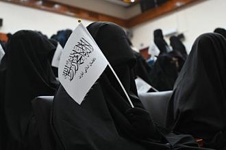 Click image for larger version

Name:	https___bucketeer-e05bbc84-baa3-437e-9518-adb32be77984.s3.amazonaws.com_public_images_d4d4765b-b9ae-47e8-a051-cd84bafa6297_600x400.jpeg
Views:	181
Size:	33.1 KB
ID:	17365