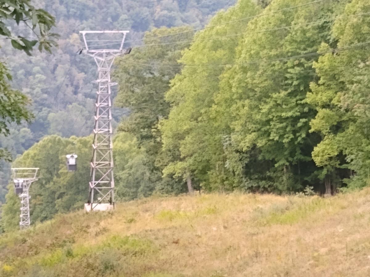 Click image for larger version

Name:	IMG_20210916_144341793.jpg
Views:	102
Size:	147.6 KB
ID:	17384