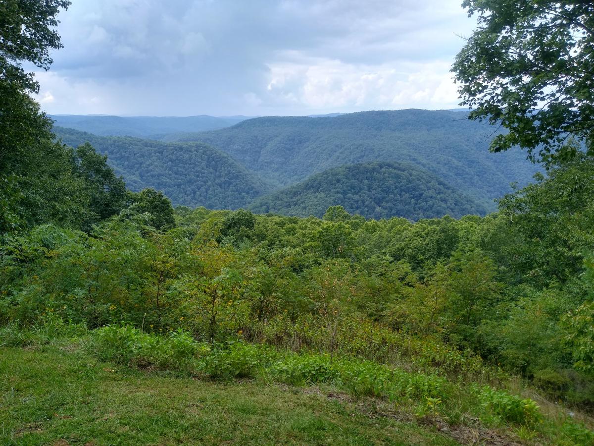 Click image for larger version

Name:	IMG_20210916_150043449_HDR.jpg
Views:	95
Size:	252.7 KB
ID:	17387