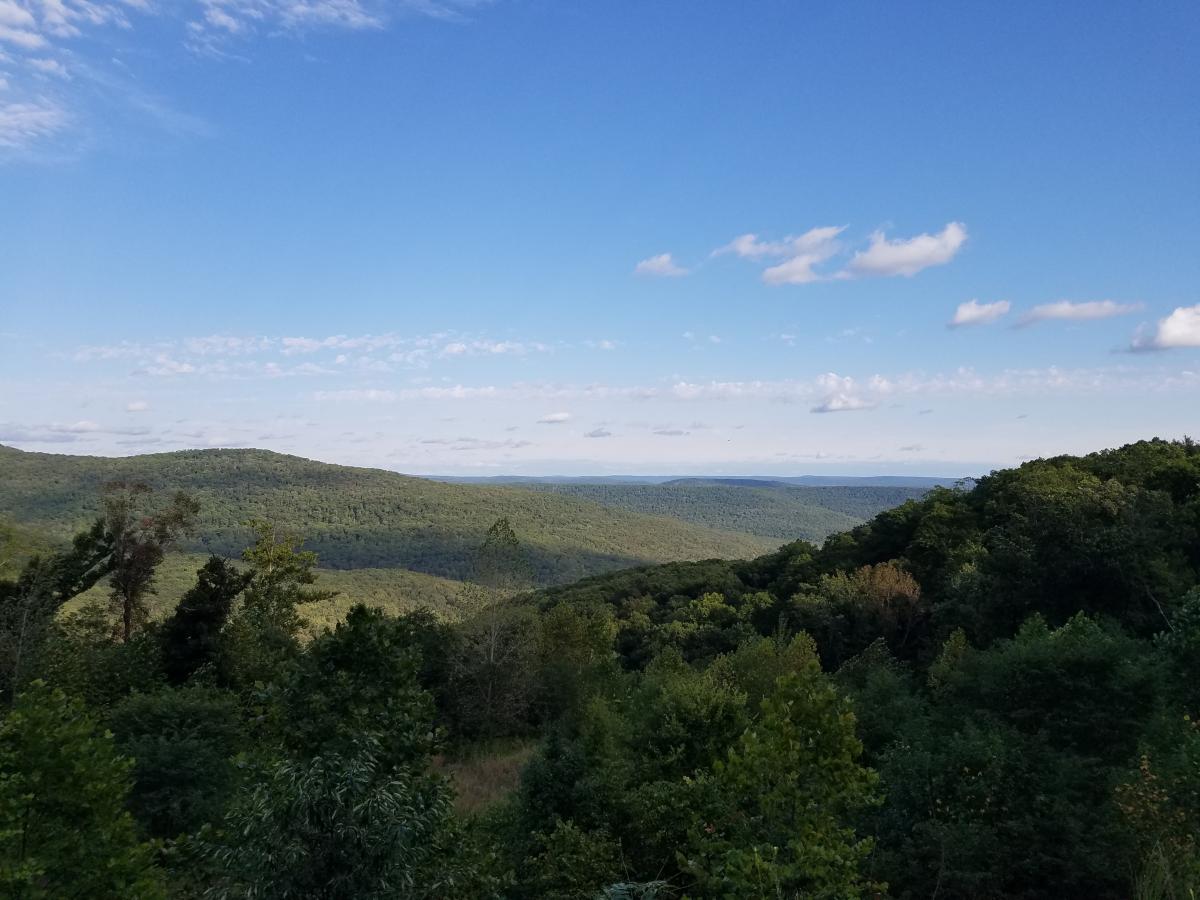 Click image for larger version

Name:	20210921_172226.jpg
Views:	119
Size:	113.1 KB
ID:	17553