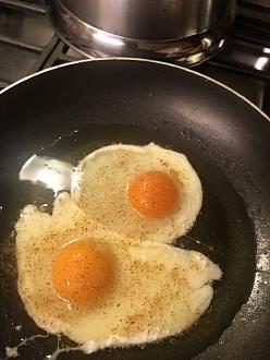 Click image for larger version

Name:	905605E4-CE03-4BBC-8F0C-D700444E65DD.jpeg
Views:	212
Size:	75.0 KB
ID:	17783