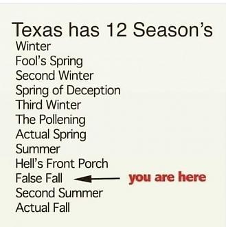 Click image for larger version

Name:	7903EB01-55E2-4755-83DB-62A13E45CC3D.jpeg
Views:	225
Size:	58.5 KB
ID:	17893