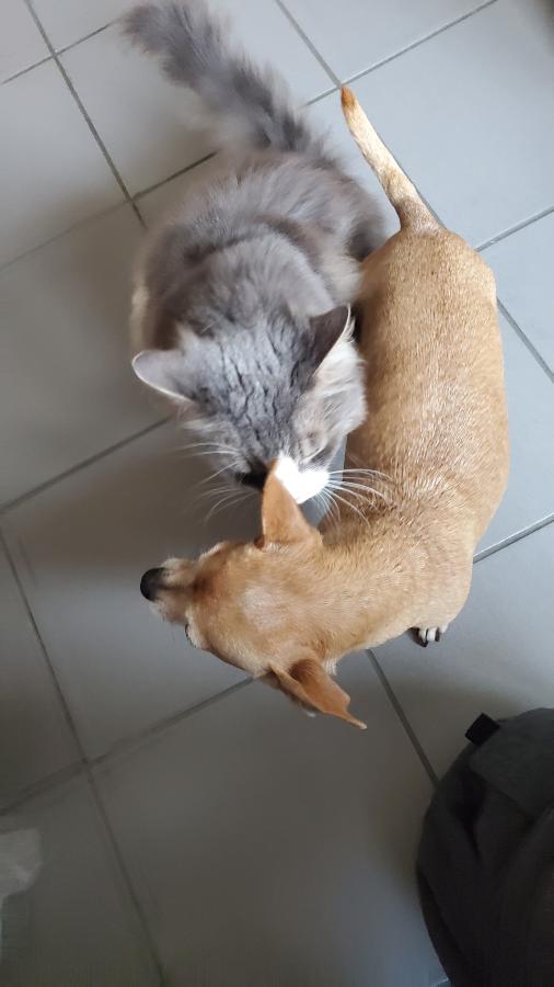 Click image for larger version

Name:	20211002_083521.jpg
Views:	171
Size:	39.2 KB
ID:	18042