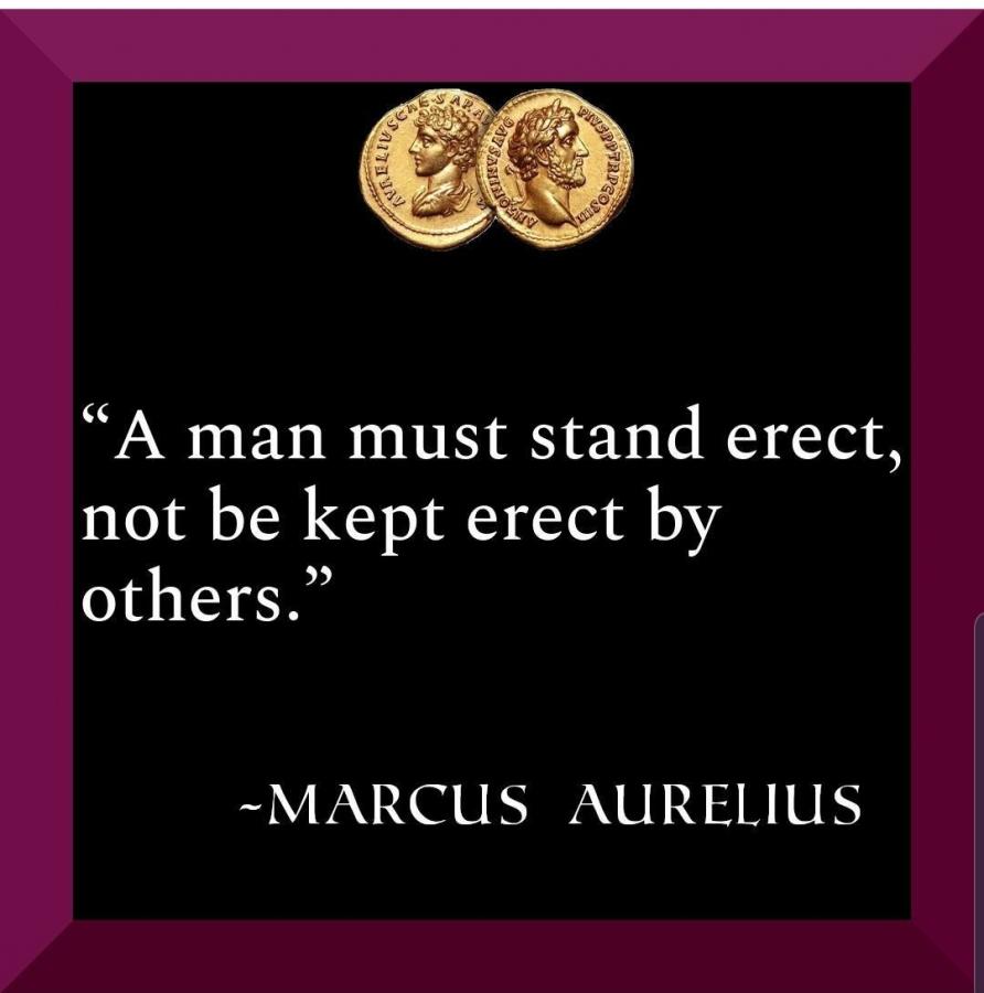 Click image for larger version

Name:	Screenshot_20211013-215638_Instagram.jpg
Views:	169
Size:	54.9 KB
ID:	18058