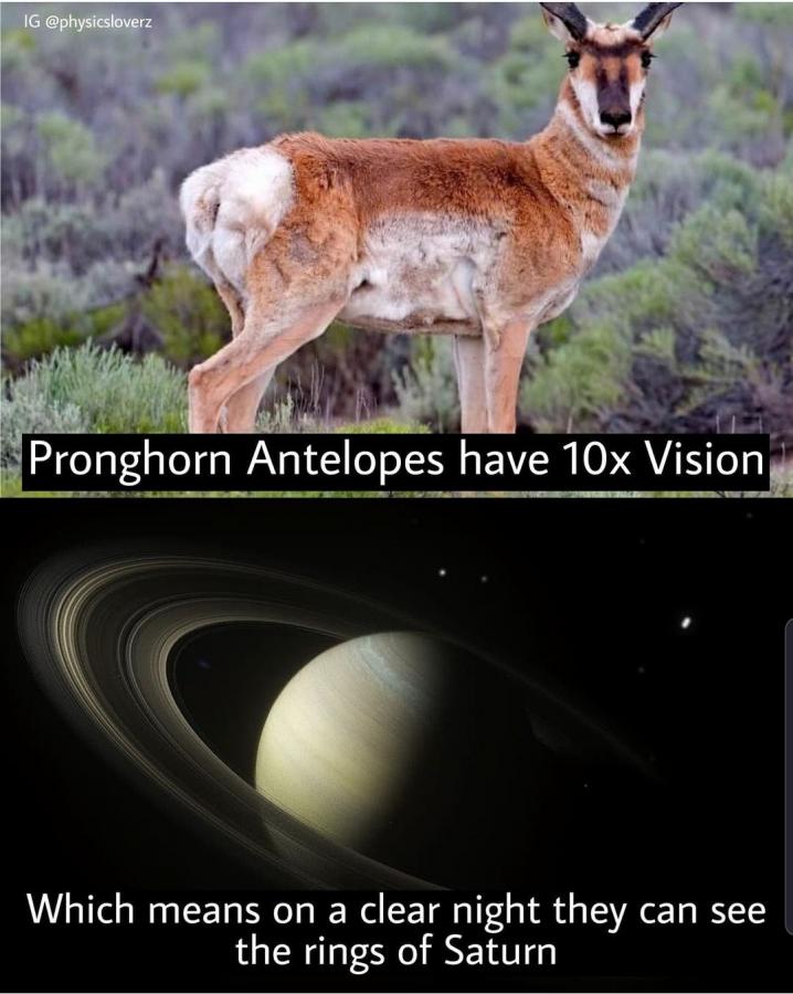 Click image for larger version

Name:	Screenshot_20211019-073132_Instagram.jpg
Views:	122
Size:	76.5 KB
ID:	18147