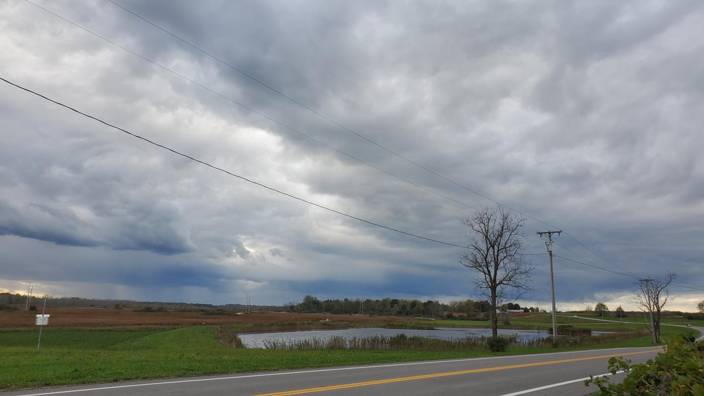 Click image for larger version

Name:	20211017_165052.jpg
Views:	85
Size:	97.4 KB
ID:	18157