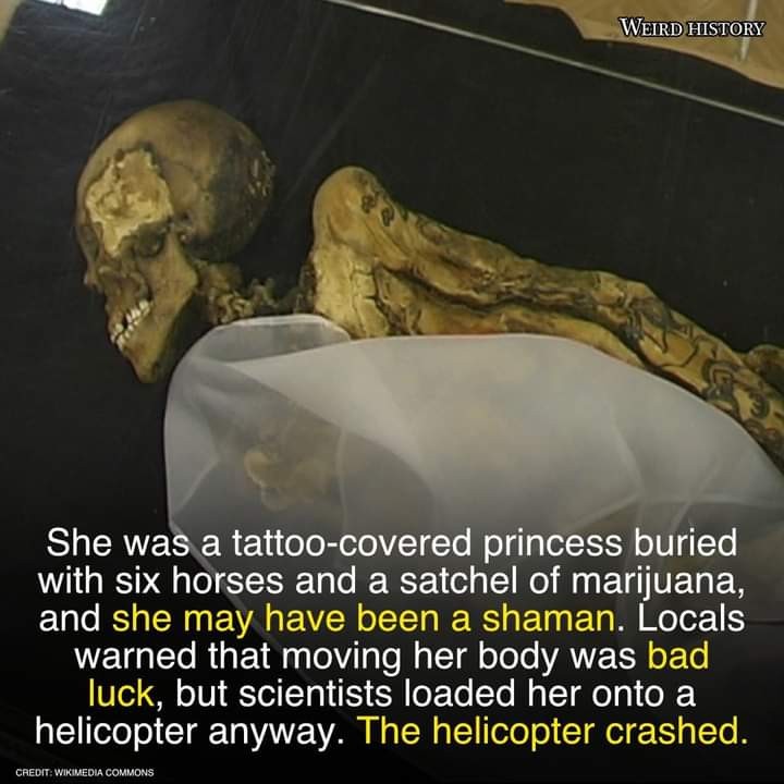 Click image for larger version

Name:	FB_IMG_1635211328322.jpg
Views:	112
Size:	83.3 KB
ID:	18221