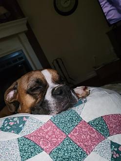 Click image for larger version

Name:	B4C61DE9-5B9F-46C8-9BC6-E2A04D042B4F.jpeg
Views:	316
Size:	82.1 KB
ID:	18321