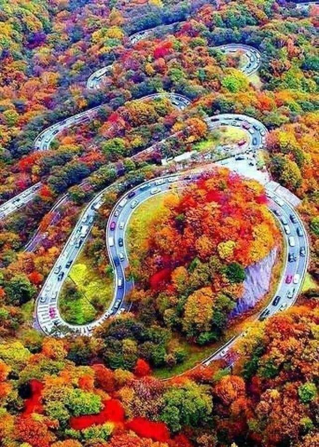 Click image for larger version

Name:	FB_IMG_1635904077758.jpg
Views:	159
Size:	174.8 KB
ID:	18329