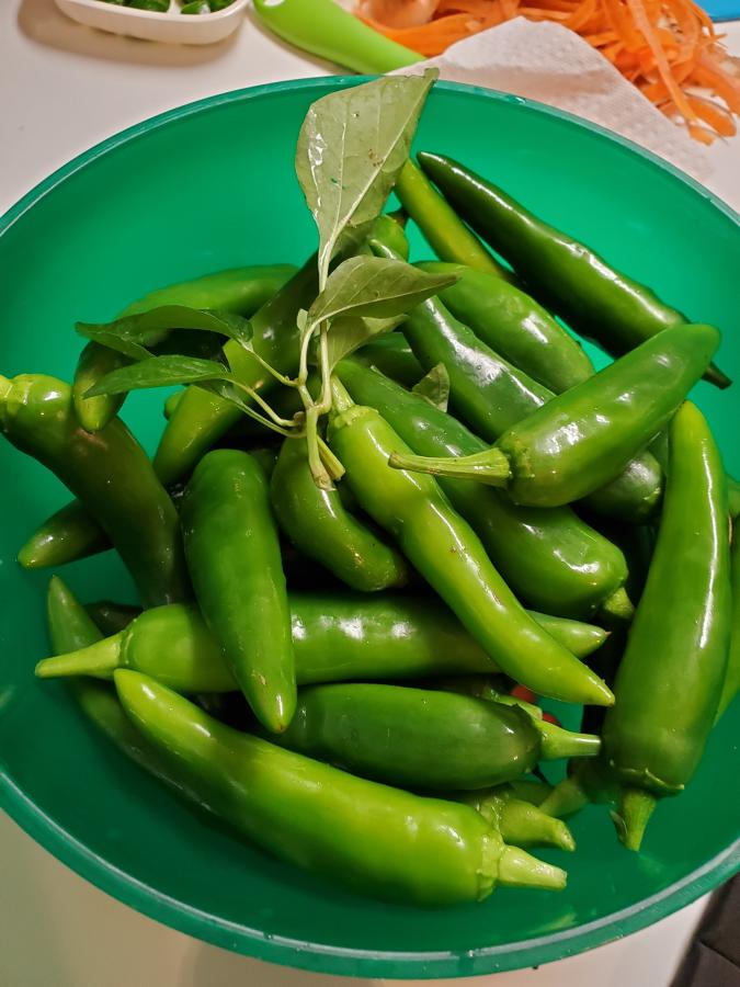 Click image for larger version  Name:	20211102_203934.jpg Views:	0 Size:	72.9 KB ID:	18339