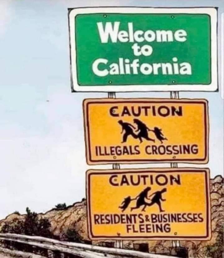 Click image for larger version

Name:	FB_IMG_1636070762434.jpg
Views:	152
Size:	87.2 KB
ID:	18359