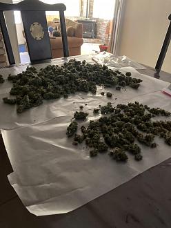 Click image for larger version

Name:	D1E357AA-59BF-4982-88C5-42A3C6BB26DC.jpeg
Views:	152
Size:	69.6 KB
ID:	18361