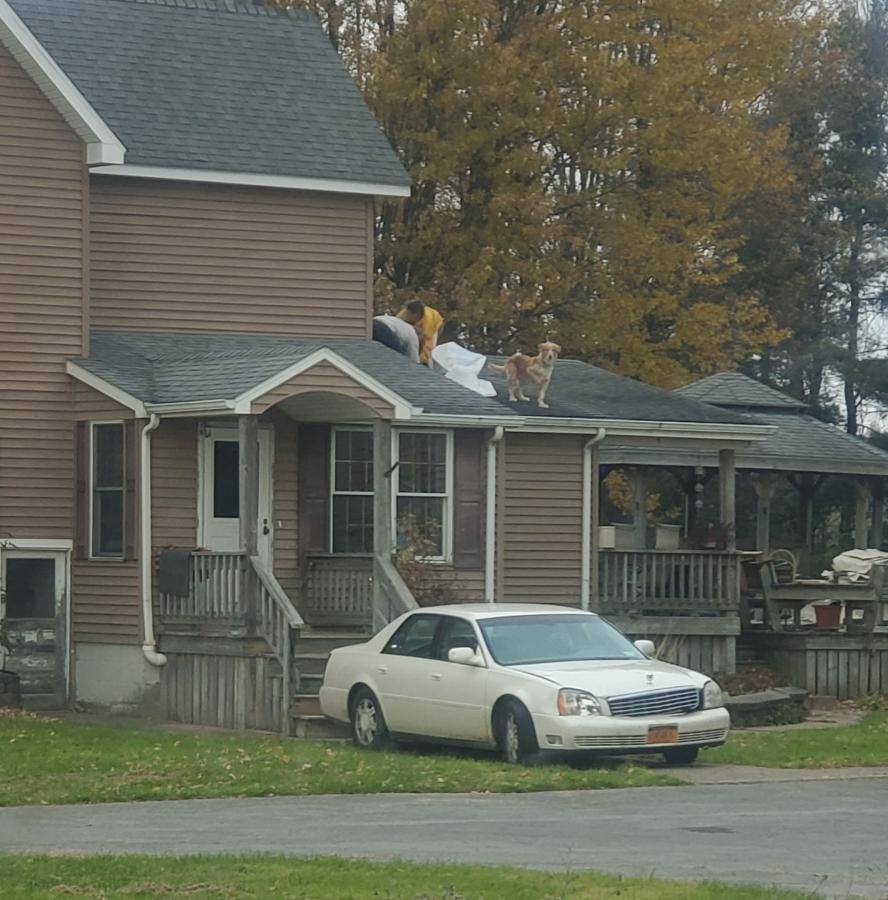 Click image for larger version

Name:	20211109_145912~2.jpg
Views:	169
Size:	115.1 KB
ID:	18496