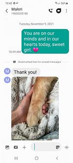 Click image for larger version

Name:	17BAB4B3-2907-4E47-999B-4E6978D4222A.jpeg
Views:	294
Size:	42.8 KB
ID:	18513