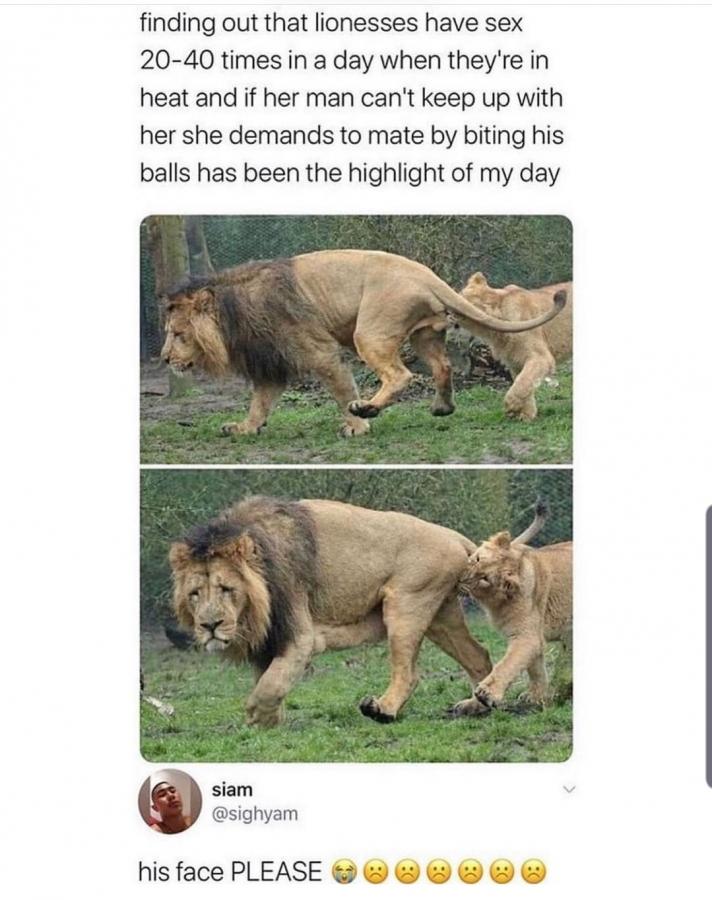 Click image for larger version

Name:	Screenshot_20211210-123451_Instagram.jpg
Views:	119
Size:	80.2 KB
ID:	19134