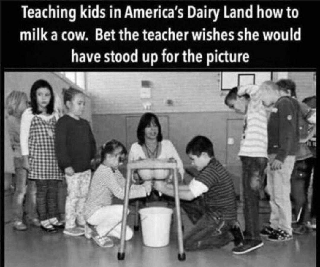Click image for larger version

Name:	Milk.jpg
Views:	98
Size:	94.6 KB
ID:	19345