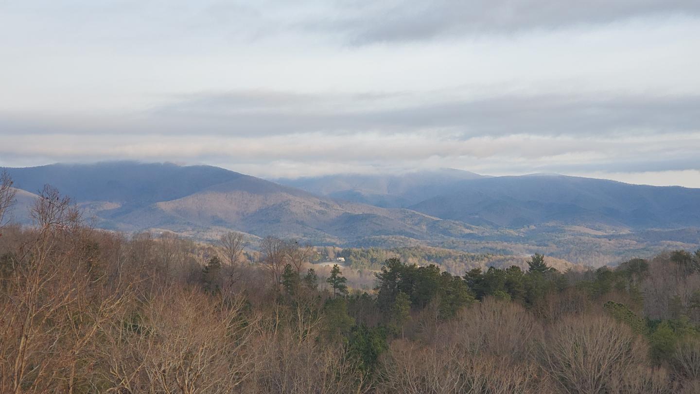 Click image for larger version

Name:	20211224_081556.jpg
Views:	76
Size:	122.5 KB
ID:	19469