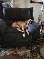 Click image for larger version

Name:	image_3903.jpg
Views:	294
Size:	67.5 KB
ID:	19554