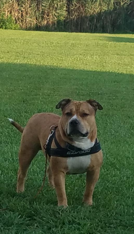 Click image for larger version

Name:	Screenshot_20210901-162029_Gallery.jpg
Views:	145
Size:	70.7 KB
ID:	19606