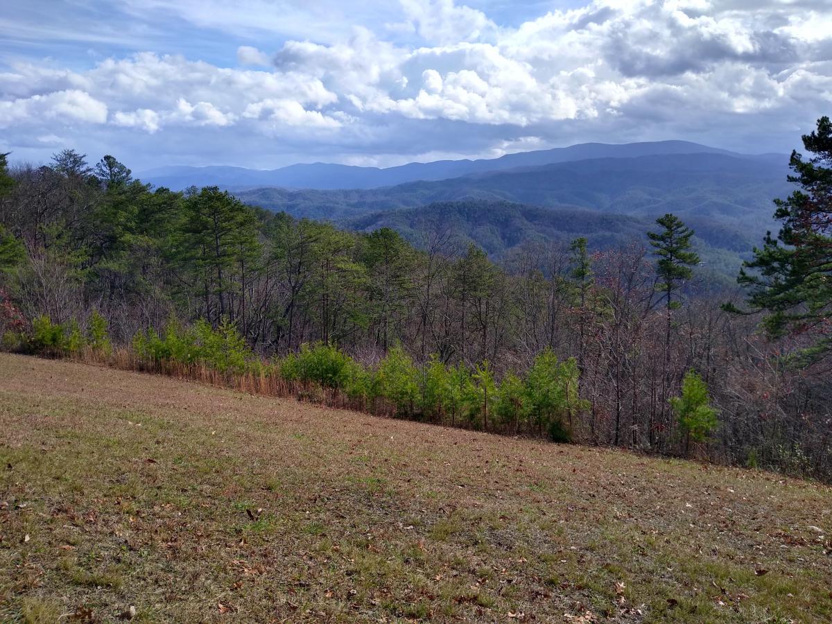 Click image for larger version

Name:	IMG_20220101_121636719_HDR.jpg
Views:	51
Size:	242.2 KB
ID:	19692