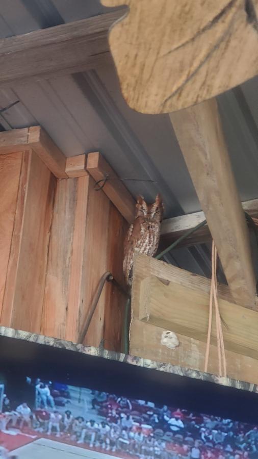 Click image for larger version

Name:	20220115_142402.jpg
Views:	138
Size:	47.3 KB
ID:	19960