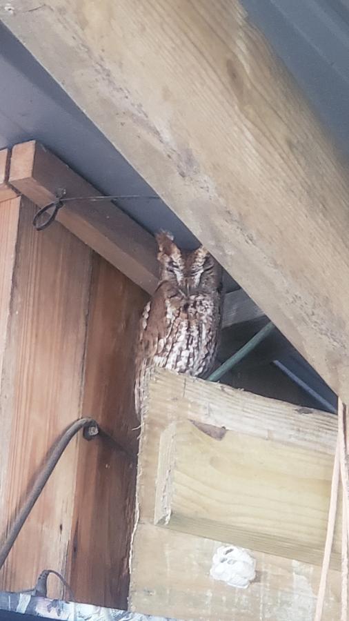 Click image for larger version

Name:	20220115_142350.jpg
Views:	138
Size:	53.3 KB
ID:	19961