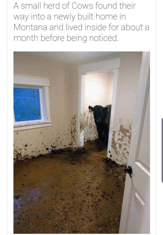 Click image for larger version

Name:	Screenshot_20220129-055053_Google News.jpg
Views:	137
Size:	69.2 KB
ID:	20364