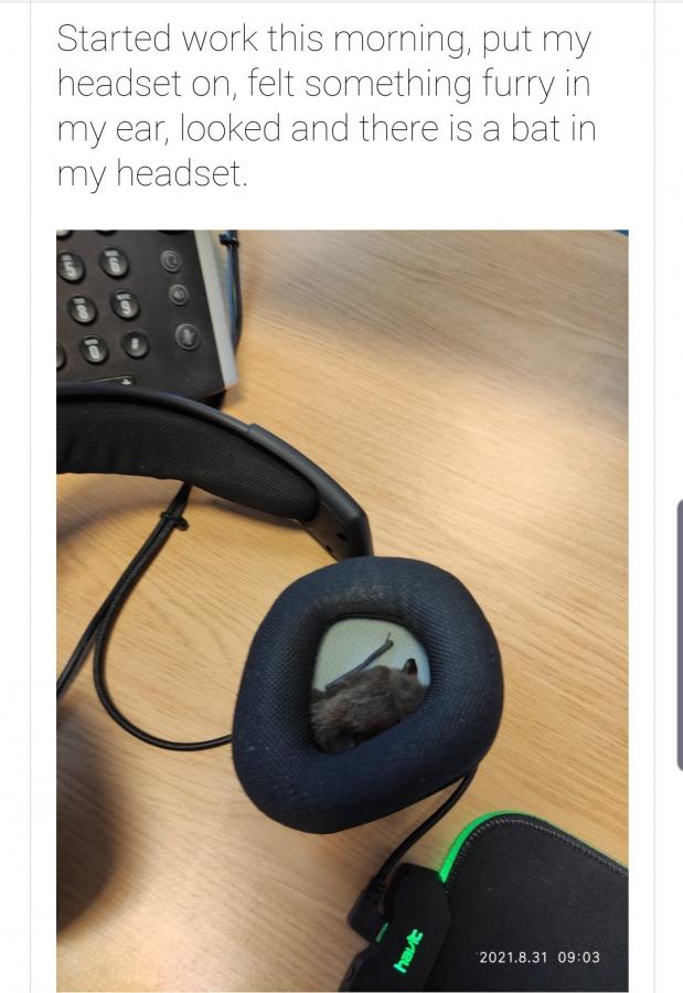 Click image for larger version

Name:	Screenshot_20220129-055255_Google News.jpg
Views:	142
Size:	63.3 KB
ID:	20367