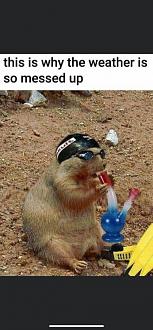 Click image for larger version

Name:	2C6BD2C1-0CE1-4AF4-B5BB-96CF6E4A2AC0.jpeg
Views:	234
Size:	59.1 KB
ID:	20463