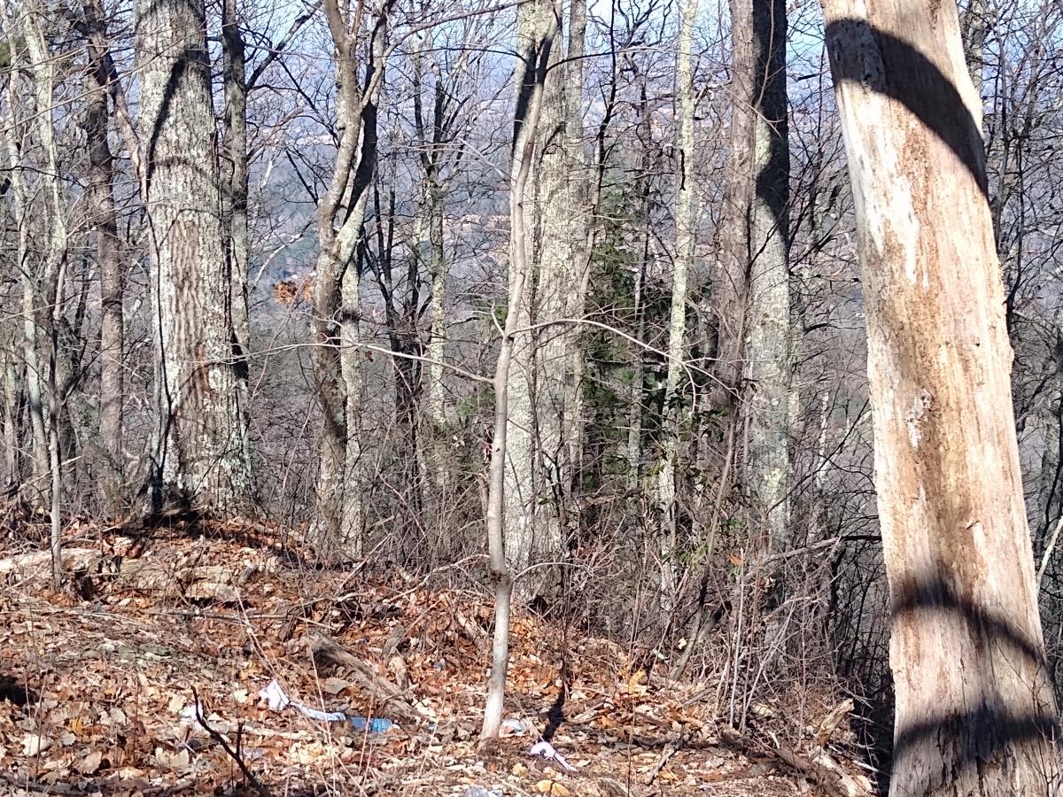 Click image for larger version

Name:	IMG_20220219_112232153.jpg
Views:	70
Size:	391.9 KB
ID:	20822