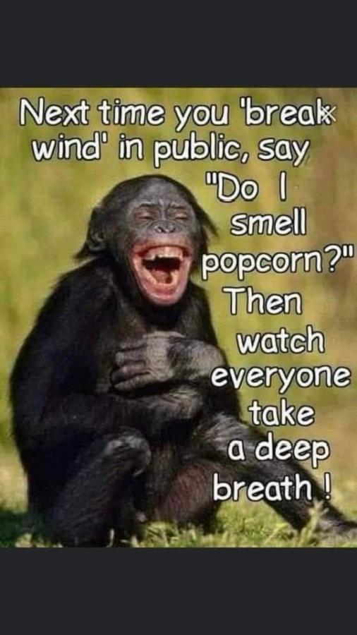 Click image for larger version

Name:	FB_IMG_1645070049795.jpg
Views:	108
Size:	55.2 KB
ID:	20845