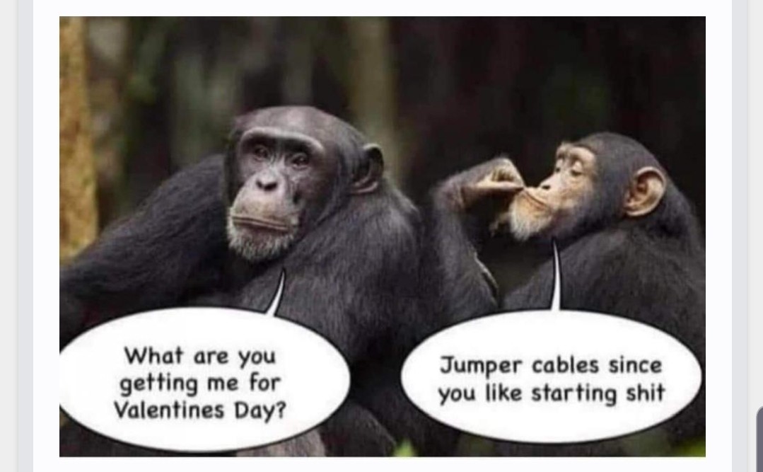 Click image for larger version

Name:	Screenshot_20220220-205056_Samsung Internet.jpg
Views:	98
Size:	92.6 KB
ID:	20859