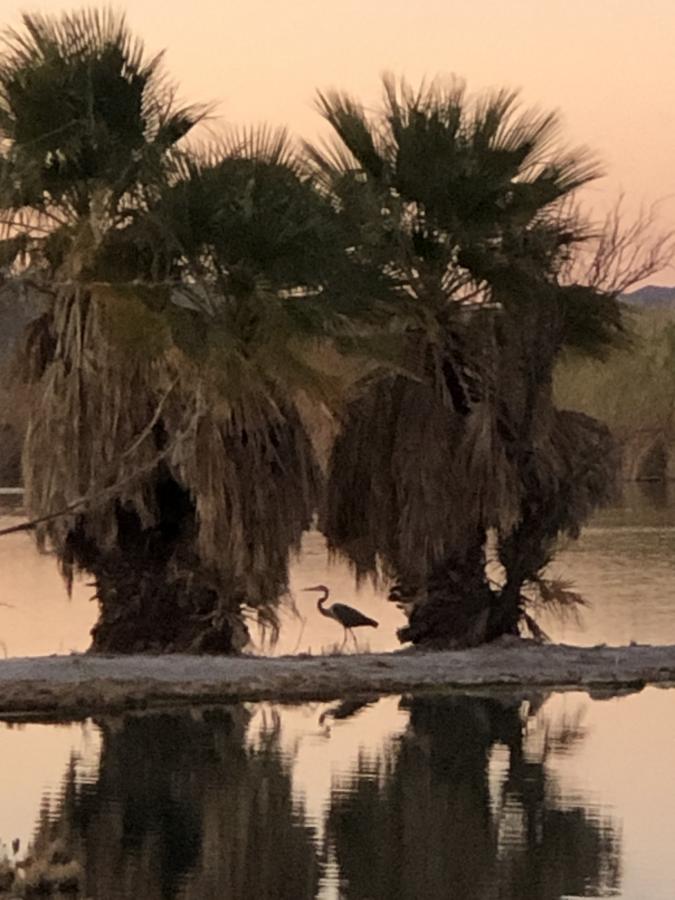 Click image for larger version

Name:	5C676511-00BA-49DE-91C9-61C09831CA7F.jpeg
Views:	160
Size:	74.7 KB
ID:	21016