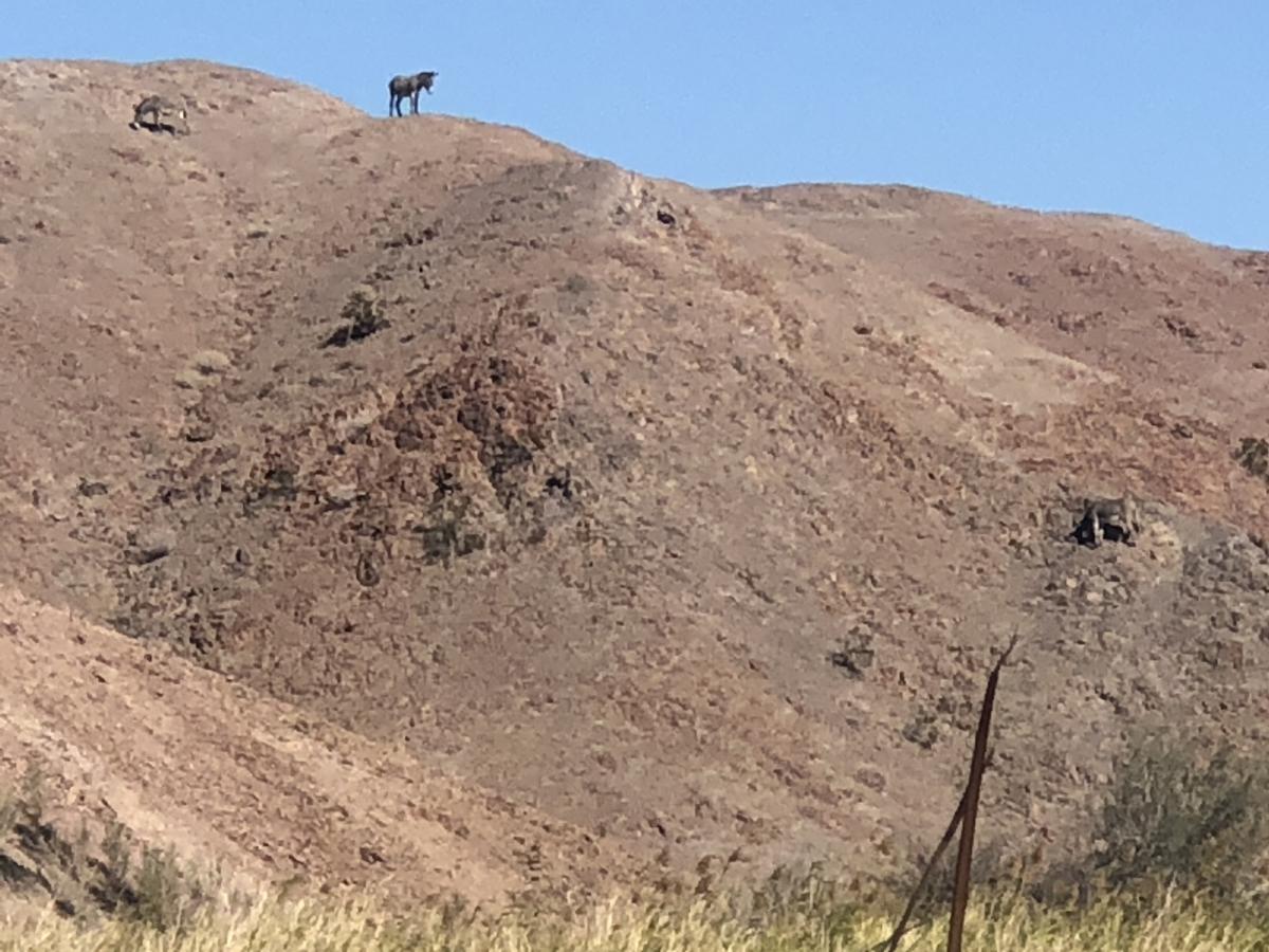 Click image for larger version

Name:	801C88D6-2B69-468E-9CC0-00B3728595A7.jpeg
Views:	147
Size:	154.1 KB
ID:	21072